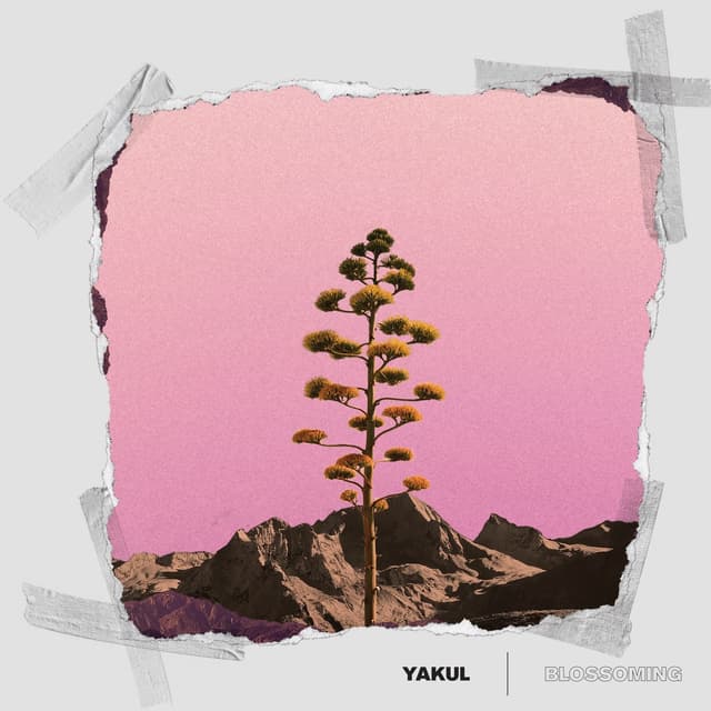Album cover art for Blossoming