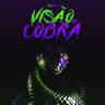 Visão de Cobra