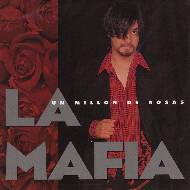 Album cover art for Un Millon De Rosas