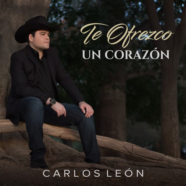 Album cover art for Te Ofrezco un Corazón