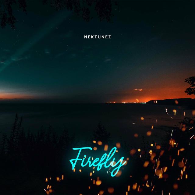 Album cover art for Firefly