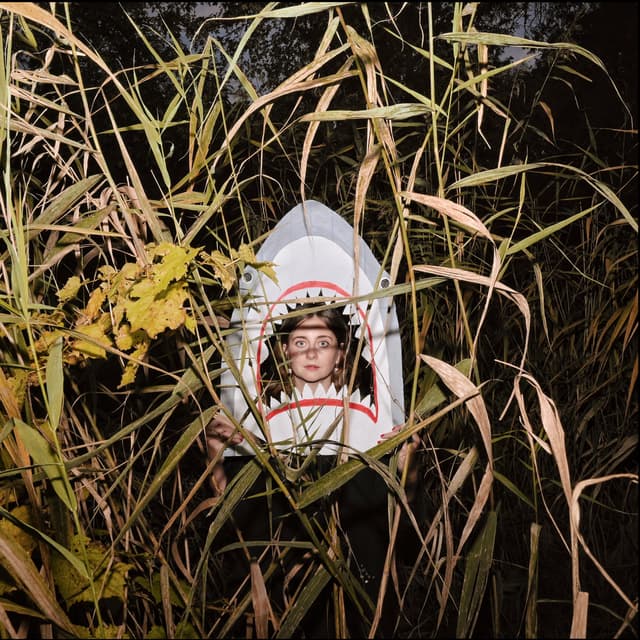 Album cover art for Акула