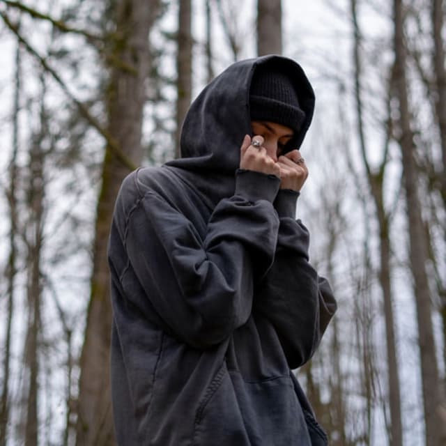 Album cover art for Monarch