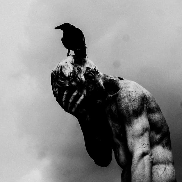 Album cover art for Hide My Face