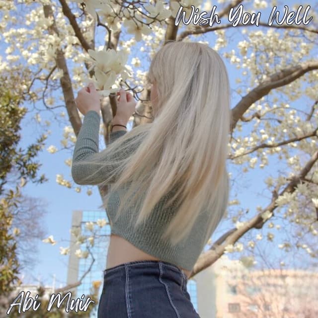 Album cover art for Wish You Well