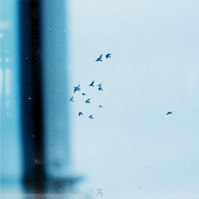 Album cover art for Sunny Day