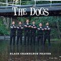 Album cover art for Black Chameleon Prayer