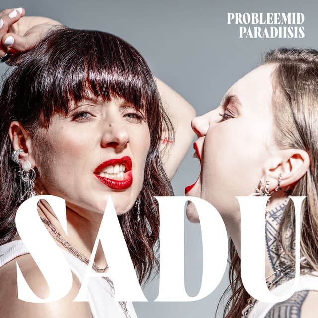 Album cover art for PROBLEEMID PARADIISIS