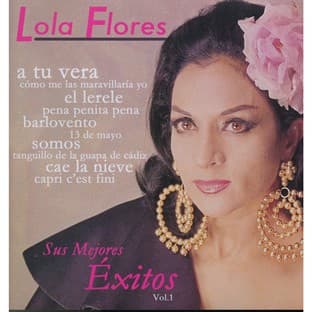 Album cover art for Sus Mejores Exitos