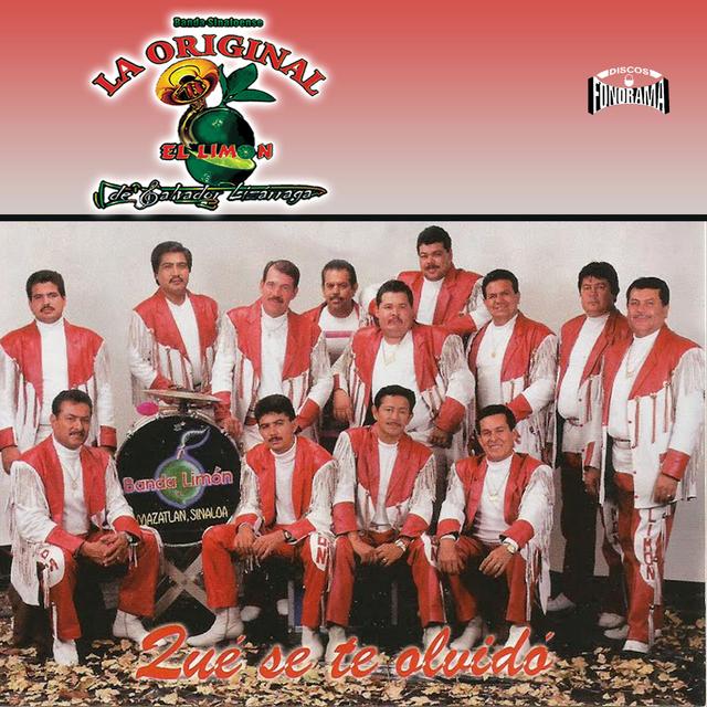 Album cover art for Qué Se Te Olvidó