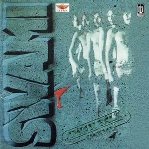 Album cover art for SWAMI 1