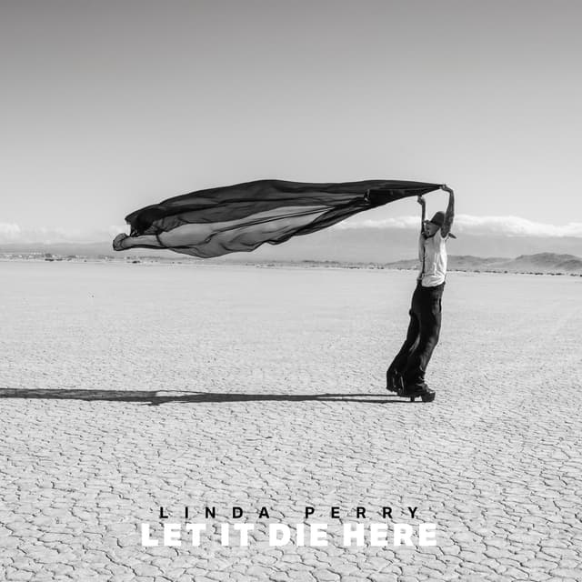 Album cover art for Let It Die Here