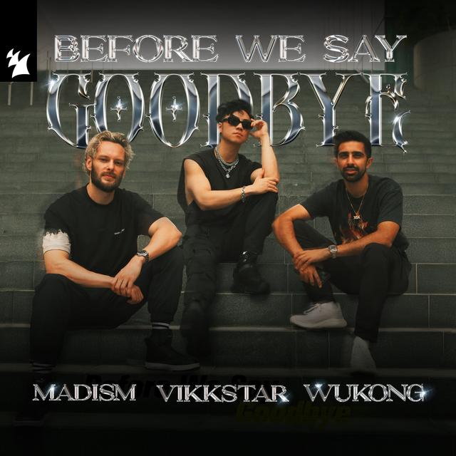 Album cover art for Before We Say Goodbye