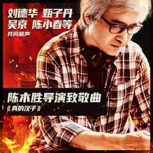 Album cover art for 真的汉子