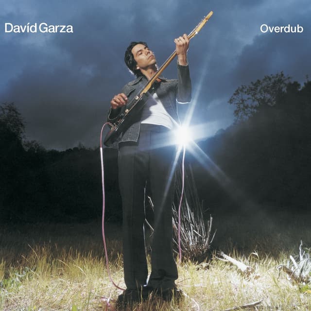 Album cover art for Overdub