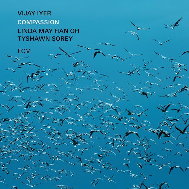 Album cover art for Compassion