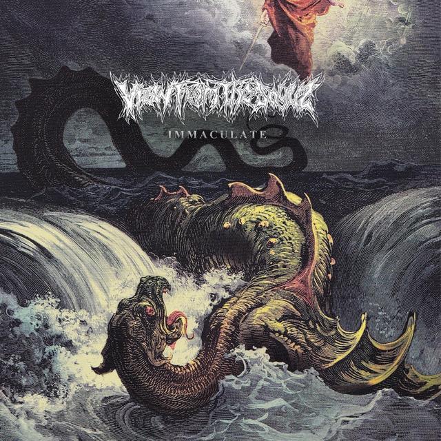 Album cover art for Immaculate