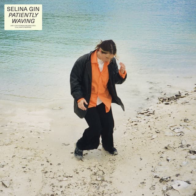 Album cover art for Patiently Waving