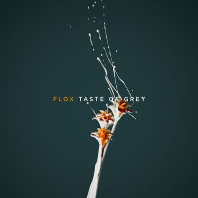 Album cover art for Taste of Grey