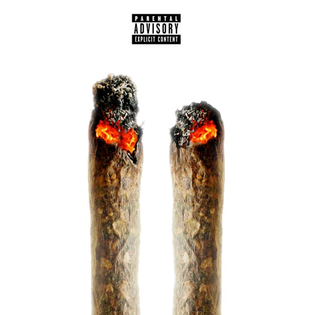 Album cover art for 2Beck