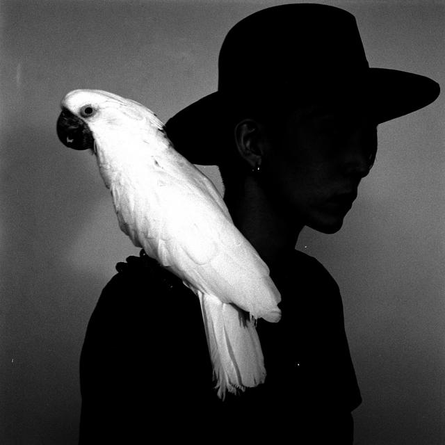 Album cover art for UNITY II