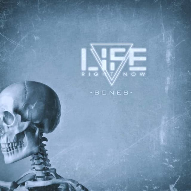 Album cover art for Bones
