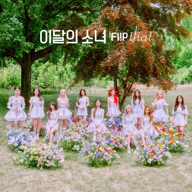 Album cover art for Summer Special [Flip That]