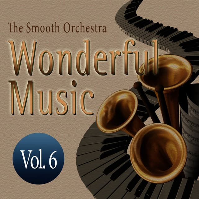 Album cover art for Wonderful Music Vol. 6