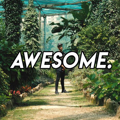 Album cover art for Awesome.