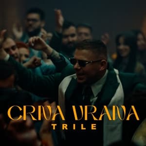 Album cover art for Crna Vrana