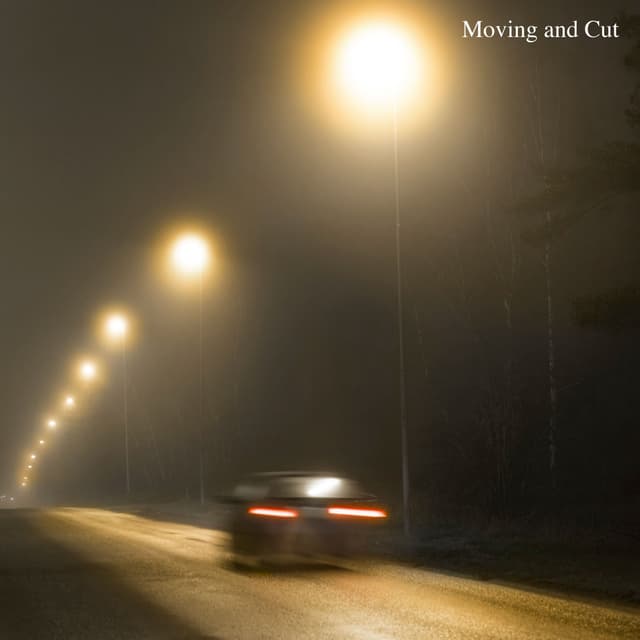 Album cover art for ด้วยความไม่จริงใจ