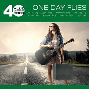 Album cover art for Alle 40 Goed - One Day Flies