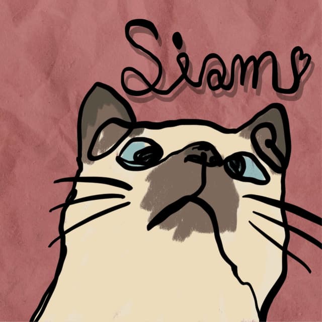Album cover art for Siam
