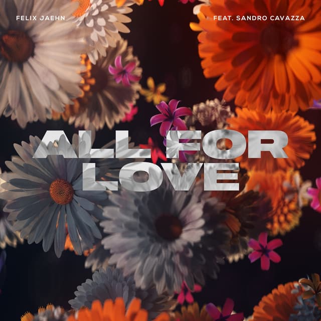 Album cover art for All For Love