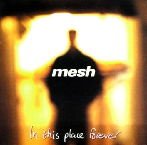Album cover art for In This Place Forever