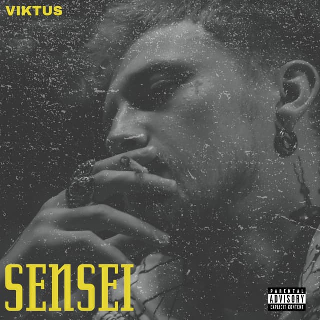Album cover art for Sensei