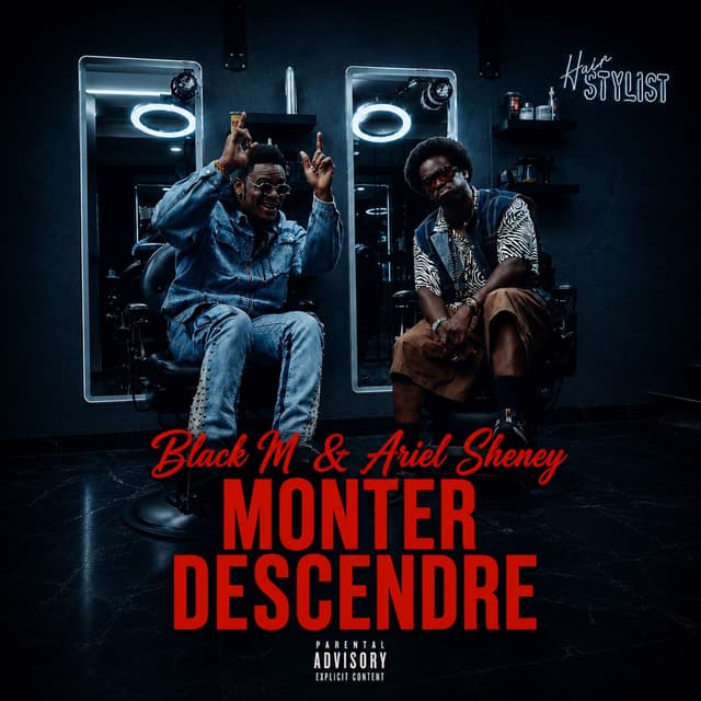 Album cover art for Monter Descendre