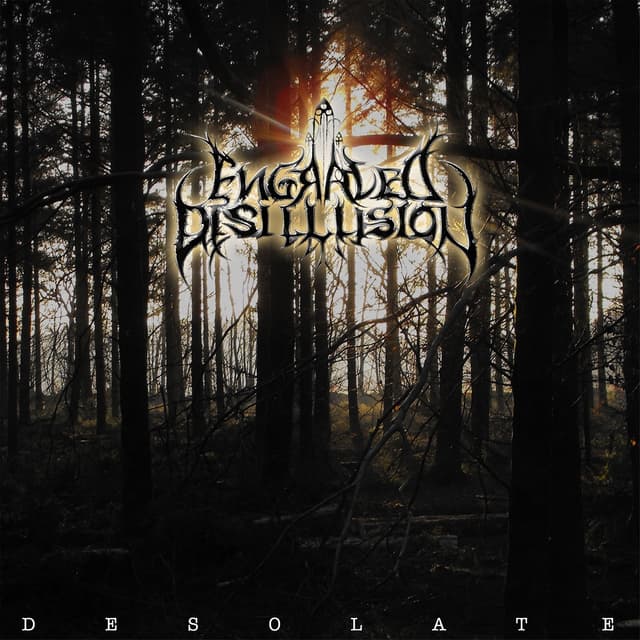 Album cover art for Desolate