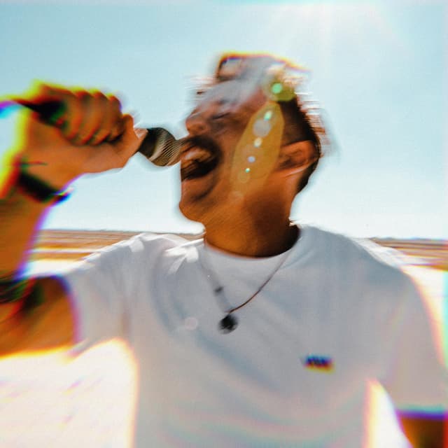 Album cover art for Vlam In Die Wind