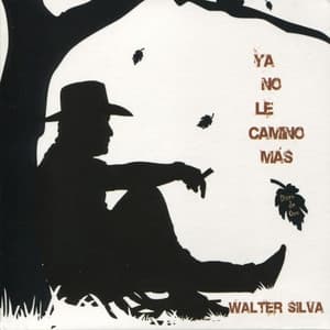 Album cover art for Ya No le Camino Más