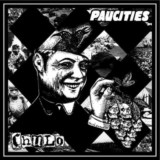 Album cover art for Paucities Split