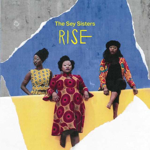 Album cover art for Rise