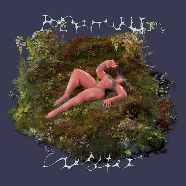Album cover art for Polofuturyzm