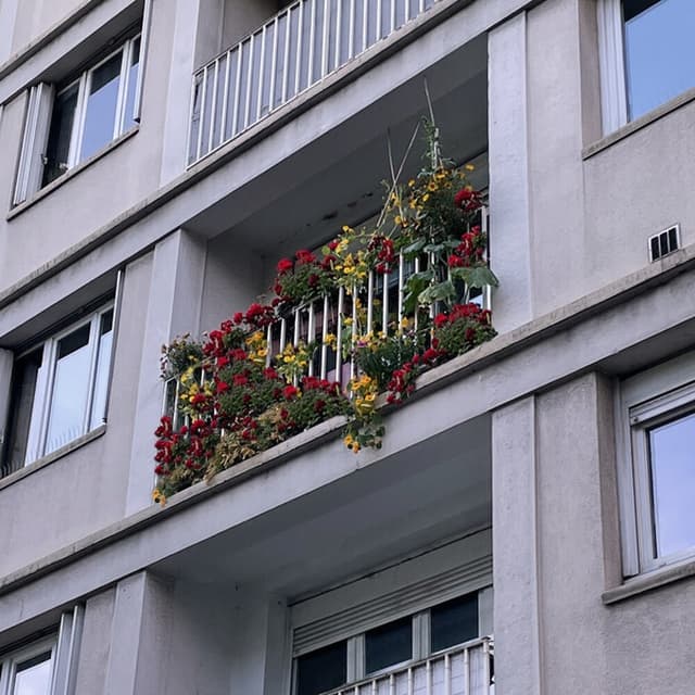 Album cover art for SHE IS