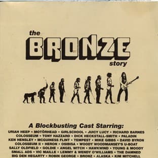 Album cover art for The Bronze Story