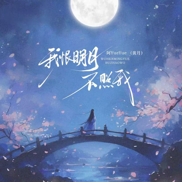 Album cover art for 我恨明月不照我
