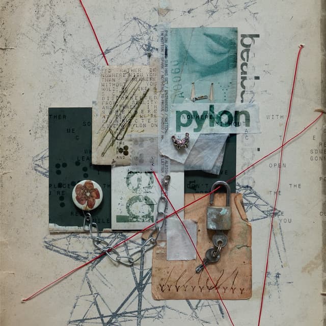 Album cover art for Pylon
