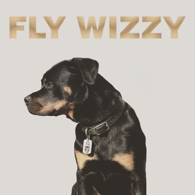 Album cover art for Ima Dog (radio edit)