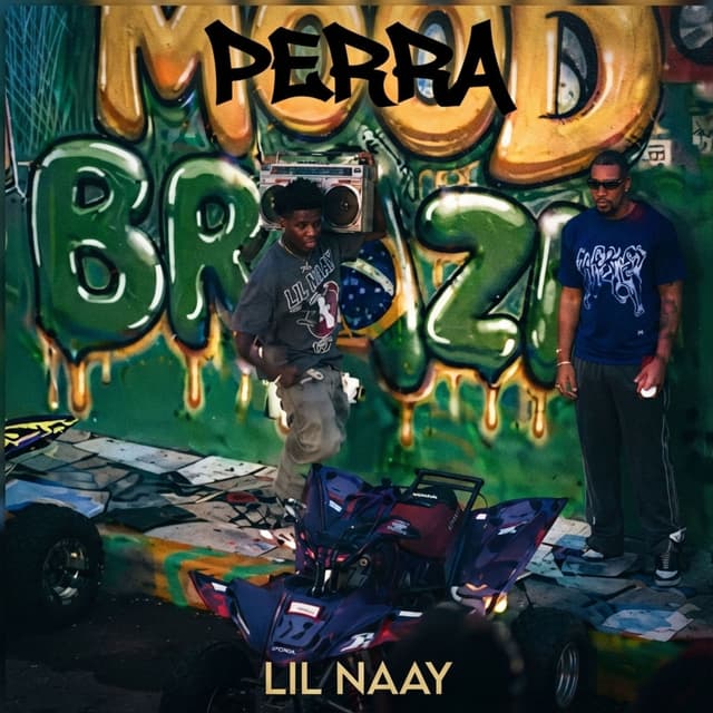 Album cover art for PERRA