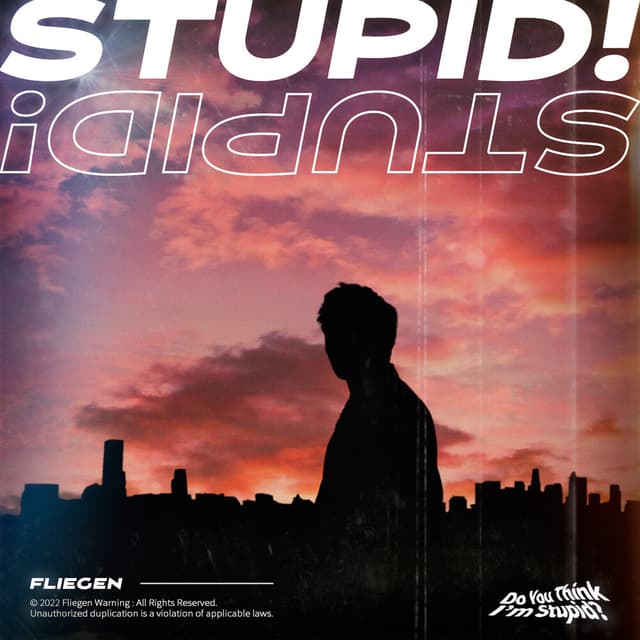 Album cover art for Stupid